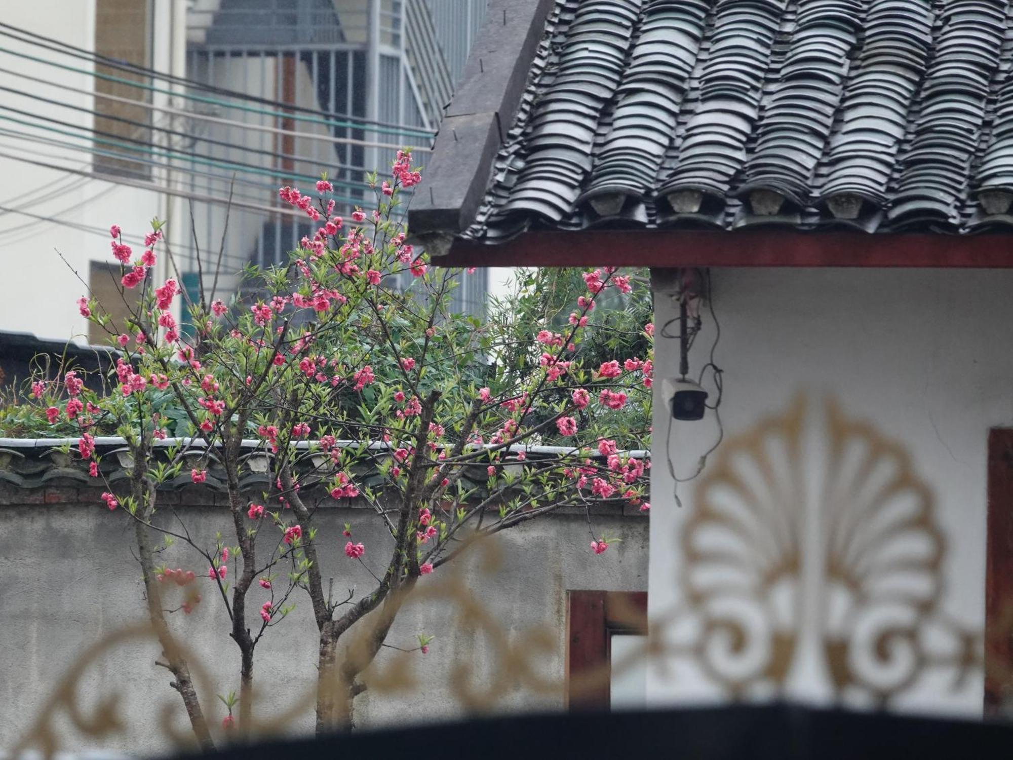 阳朔小龙河酒店 外观 照片