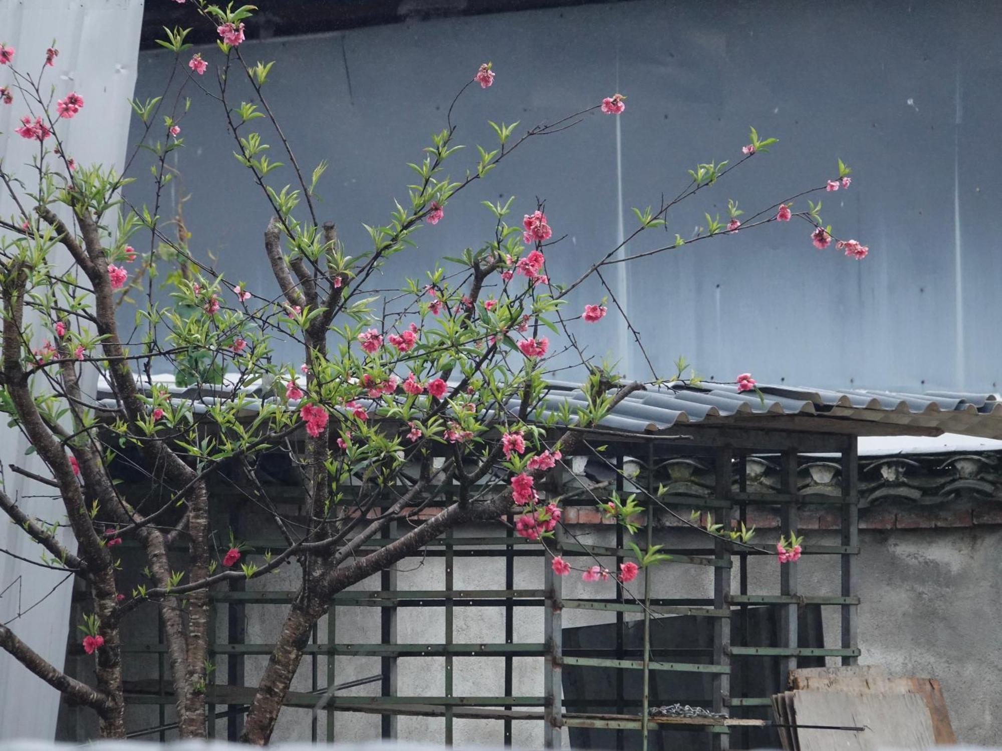 阳朔小龙河酒店 外观 照片